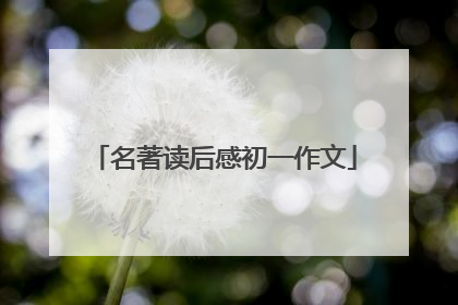 名著读后感初一作文