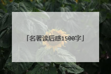 名著读后感1500字