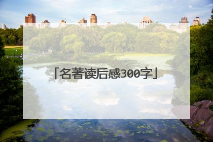 名著读后感300字