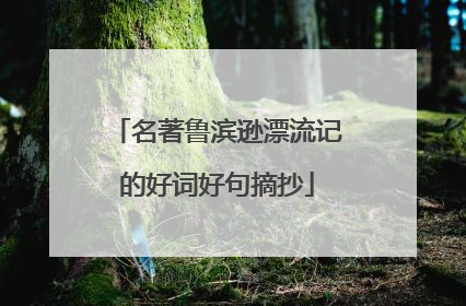 名著鲁滨逊漂流记的好词好句摘抄