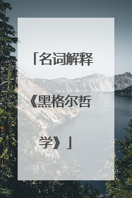 名词解释《黑格尔哲学》