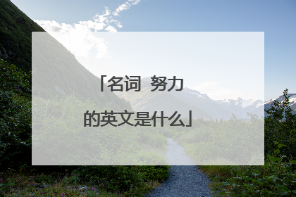 名词 努力 的英文是什么