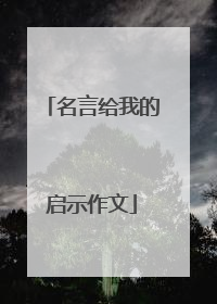 名言给我的启示作文