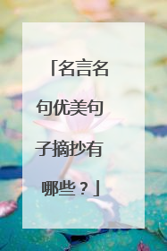 名言名句优美句子摘抄有哪些？