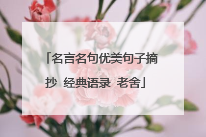 名言名句优美句子摘抄 经典语录 老舍