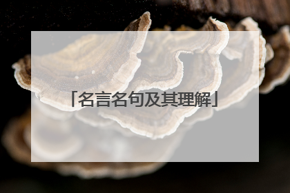 名言名句及其理解