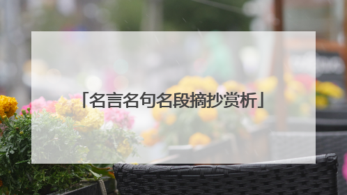 名言名句名段摘抄赏析