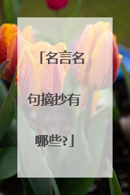 名言名句摘抄有哪些?