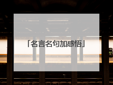 名言名句加感悟