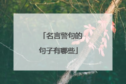 名言警句的句子有哪些
