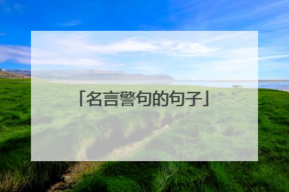 名言警句的句子