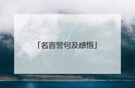 名言警句及感悟