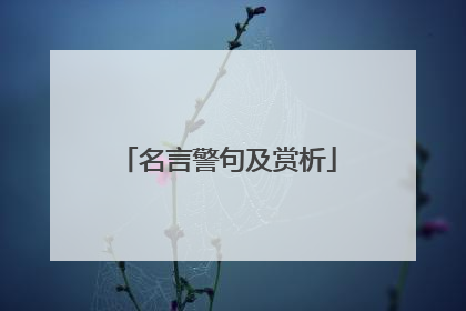 名言警句及赏析