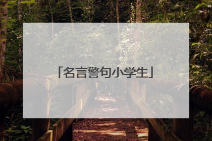 名言警句小学生