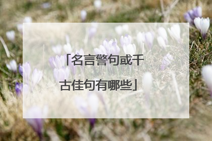 名言警句或千古佳句有哪些