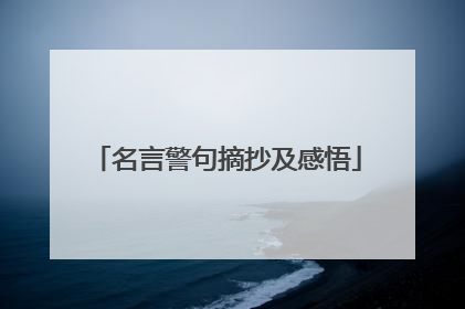名言警句摘抄及感悟