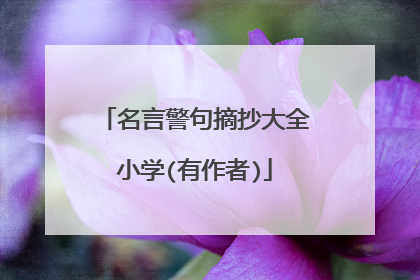 名言警句摘抄大全小学(有作者)