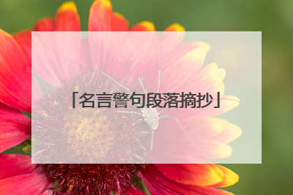 名言警句段落摘抄