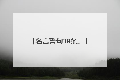 名言警句30条。