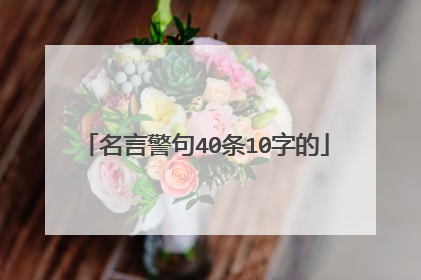 名言警句40条10字的