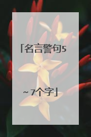 名言警句5~7个字
