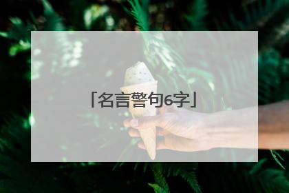 名言警句6字