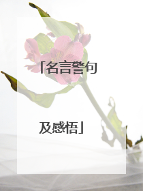 名言警句及感悟