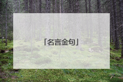 名言金句