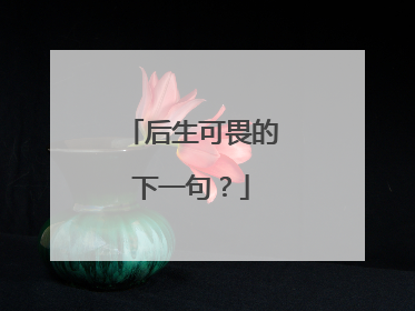 后生可畏的下一句?