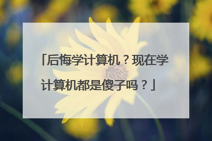 后悔学计算机?现在学计算机都是傻子吗?