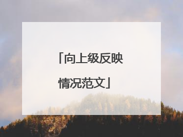 向上级反映情况范文