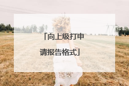 向上级打申请报告格式