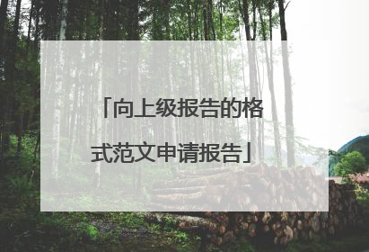向上级报告的格式范文申请报告