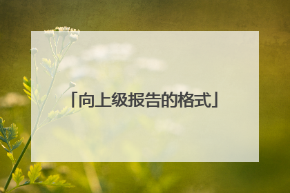 向上级报告的格式