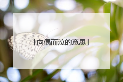 向偶而泣的意思