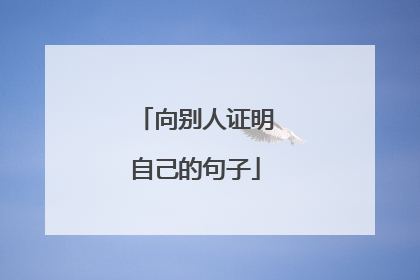 向别人证明自己的句子
