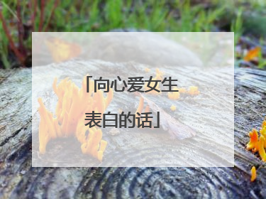 向心爱女生表白的话