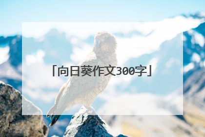 向日葵作文300字