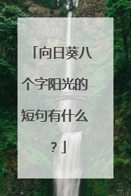 向日葵八个字阳光的短句有什么？