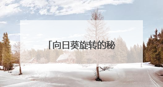 向日葵旋转的秘密作文70个字