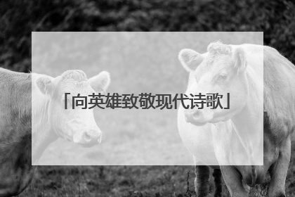 向英雄致敬现代诗歌