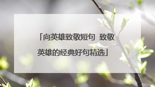 向英雄致敬短句 致敬英雄的经典好句精选