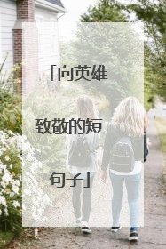 向英雄致敬的短句子