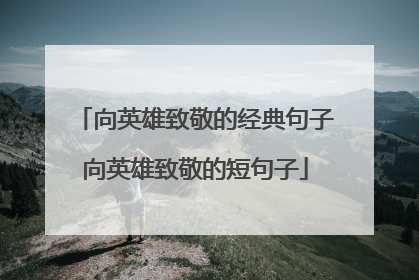 向英雄致敬的经典句子向英雄致敬的短句子