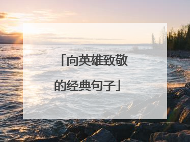 向英雄致敬的经典句子