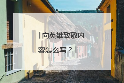 向英雄致敬内容怎么写？