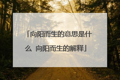 向阳而生的意思是什么 向阳而生的解释