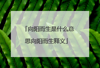 向阳而生是什么意思向阳而生释义