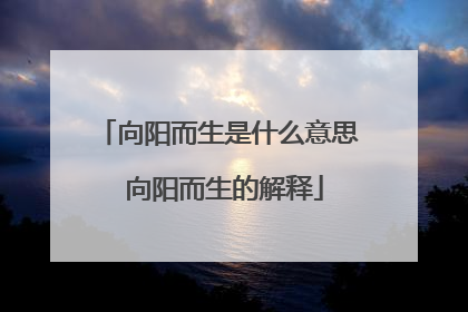 向阳而生是什么意思 向阳而生的解释