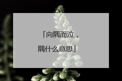 向隅而泣,隅什么意思